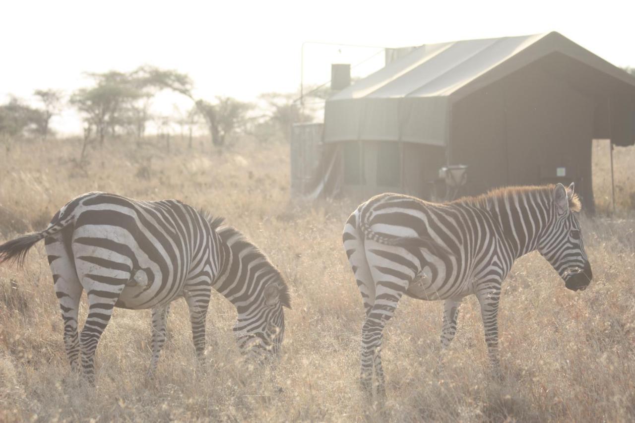 Kananga Special Tented Camp Banagi Экстерьер фото