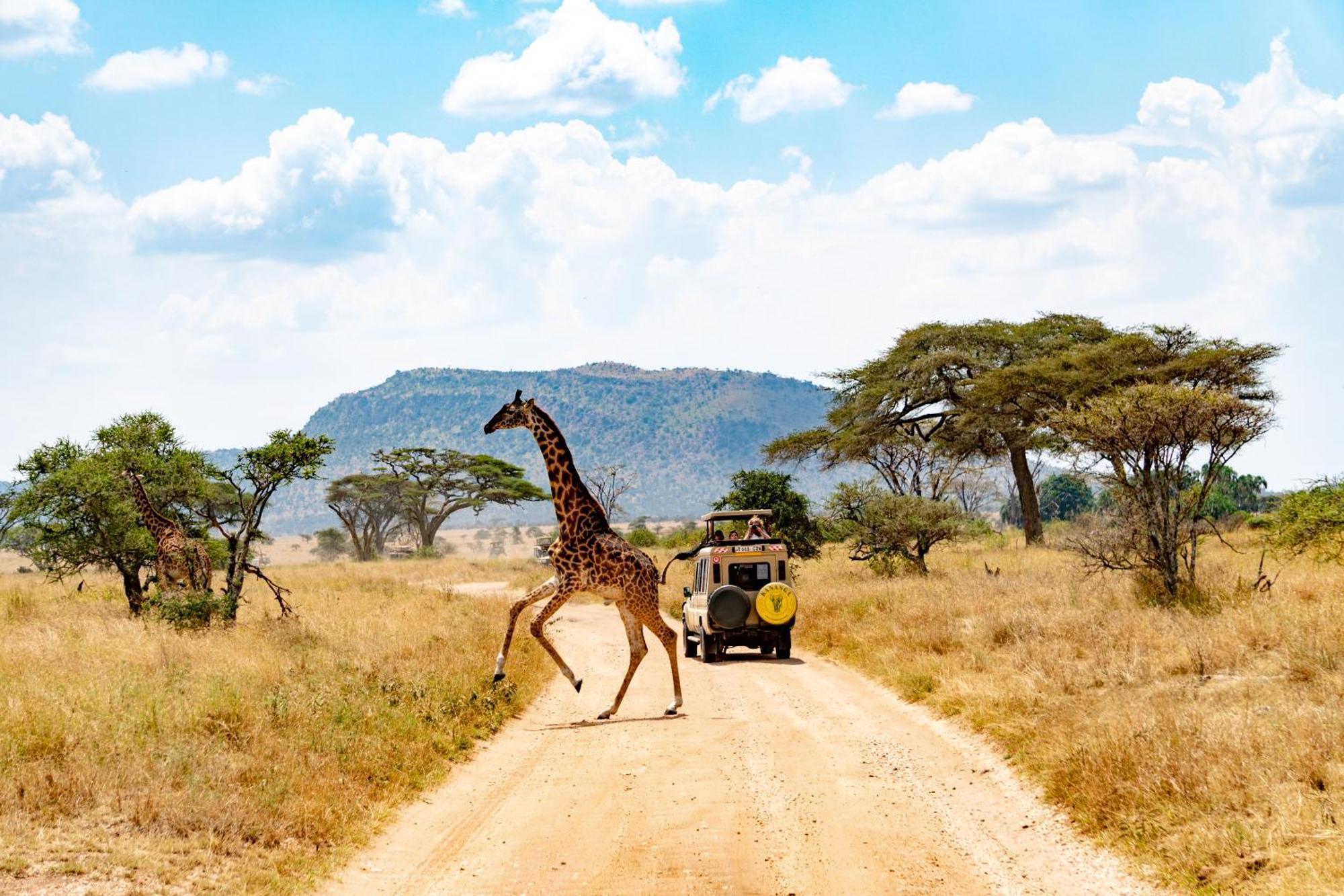 Kananga Special Tented Camp Banagi Экстерьер фото